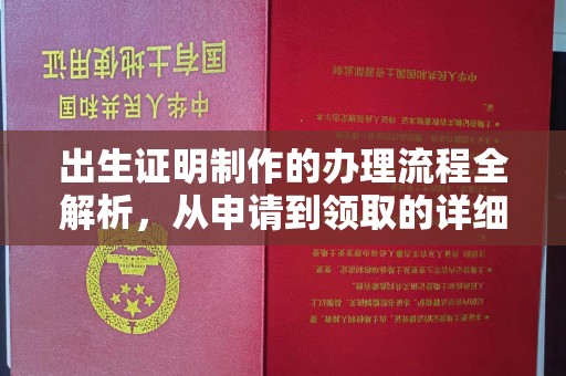 江南出生证明制作的办理流程全解析，从申请到领取的详细指南